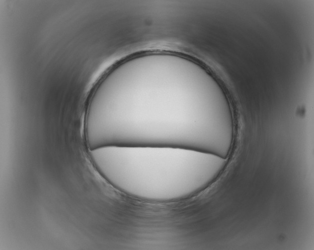 X0000111181224200907011025