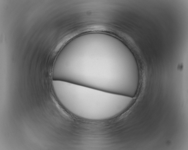 X0000111181225200907011025