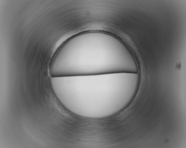X0000111181226200907011025