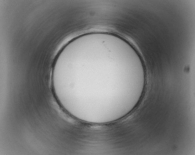 X0000111181227200907011025