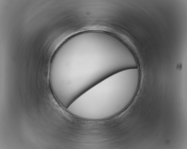 X0000111181228200907011025