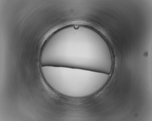 X0000111181229200907011025