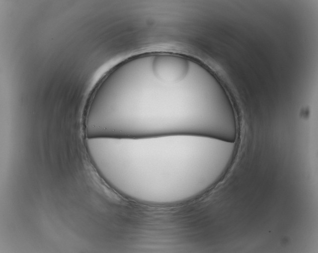 X0000111181230200907011025