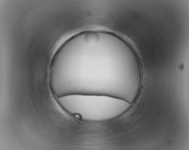 X0000111181231200907011025