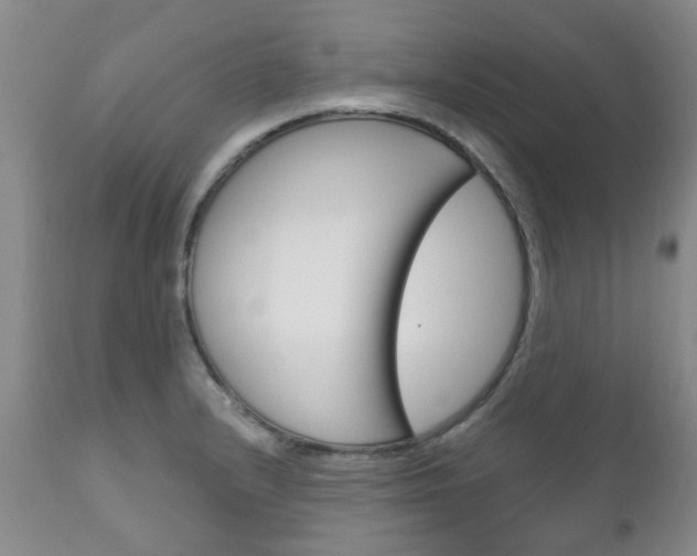 X0000111181232200907011025