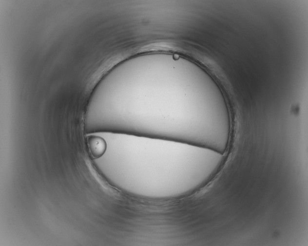 X0000111181233200907011025