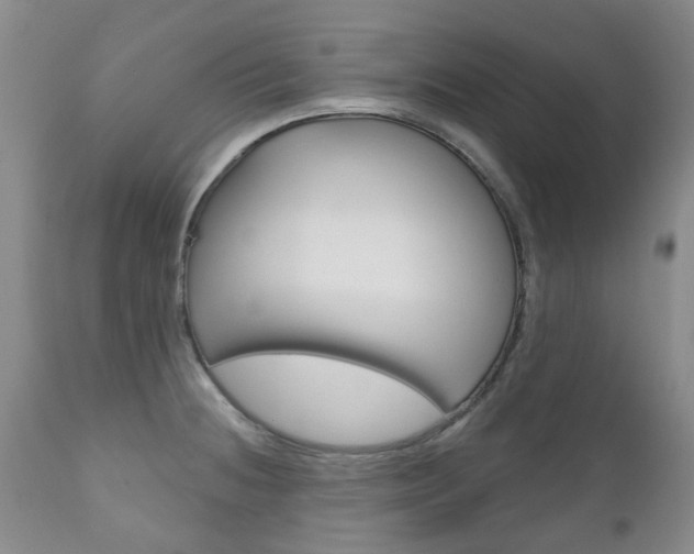 X0000111181236200907011025