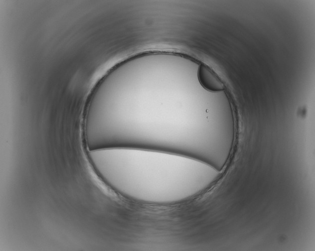 X0000111181237200907011025