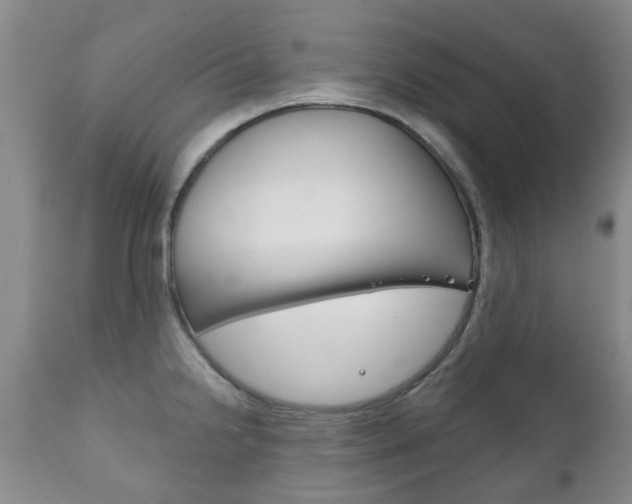 X0000111181238200907011025