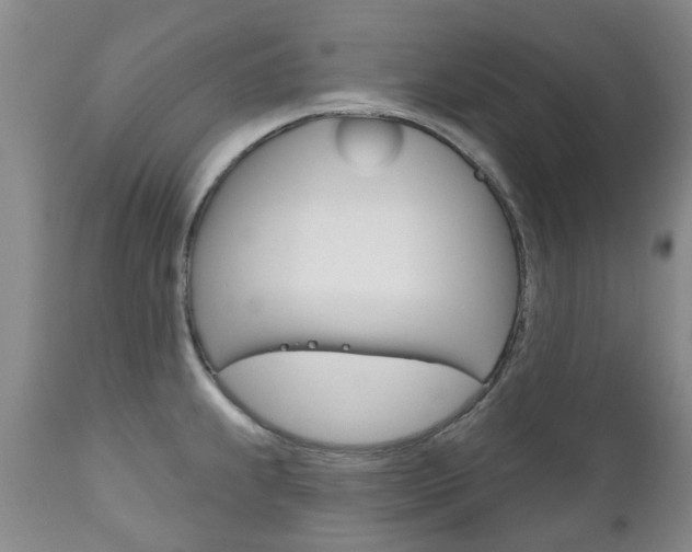X0000111181239200907011025
