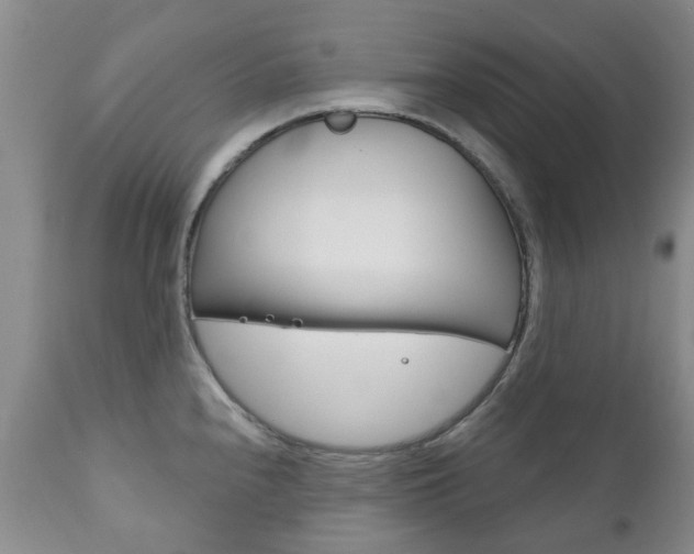 X0000111181240200907011025