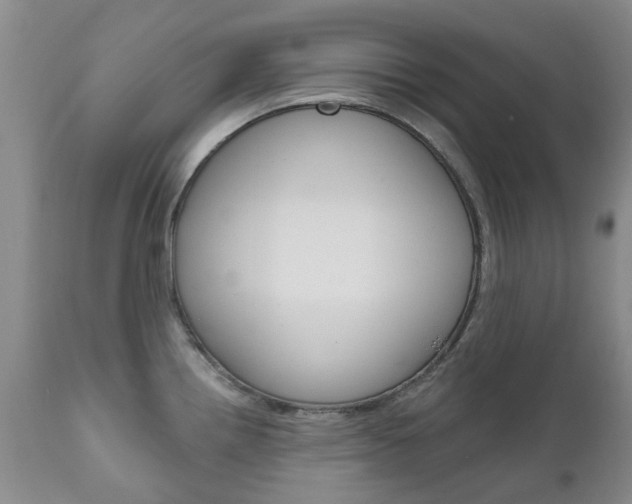 X0000111181242200907011025