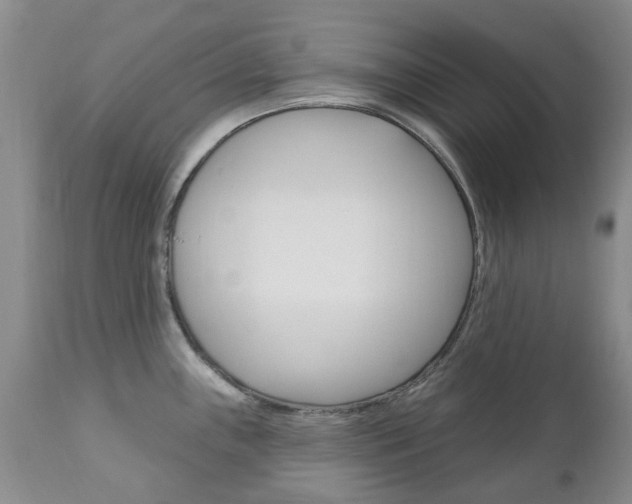 X0000111181243200907011025