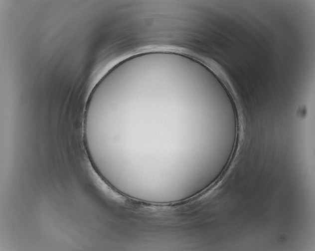X0000111181244200907011025