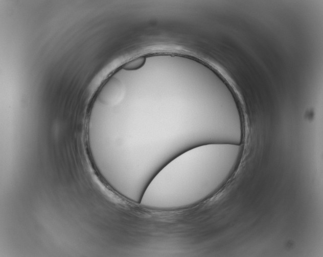 X0000111181245200907011025