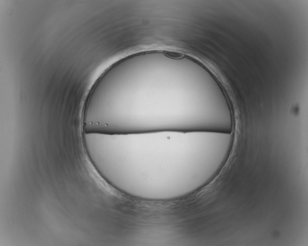 X0000111181246200907011025