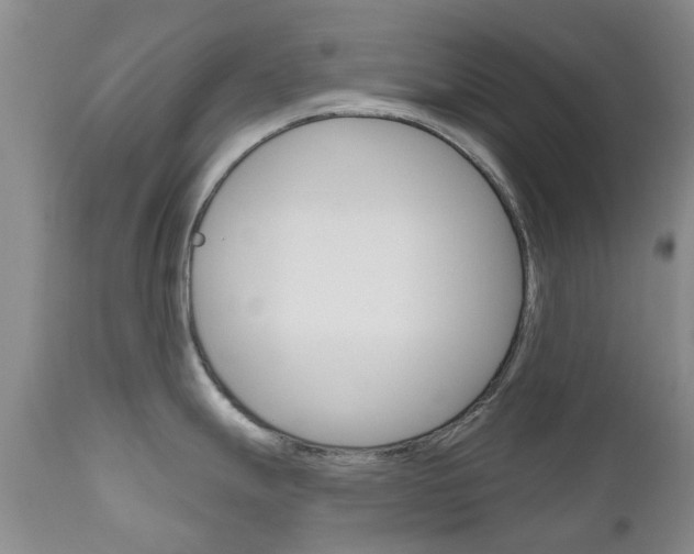 X0000111181247200907011025