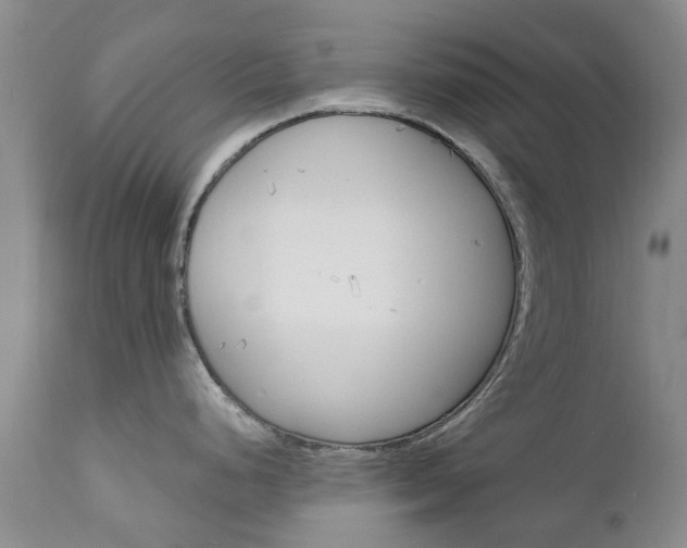 X0000111181248200907011025