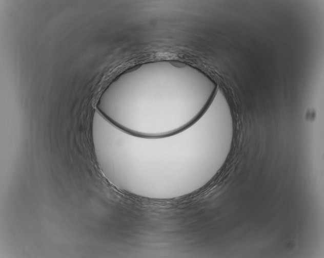 X0000111181249200907011024