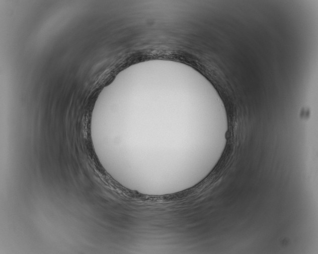 X0000111181250200907011024