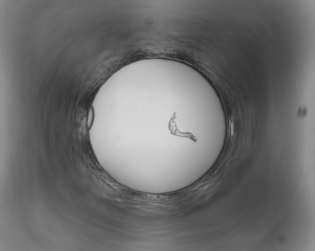 X0000111181251200907011024