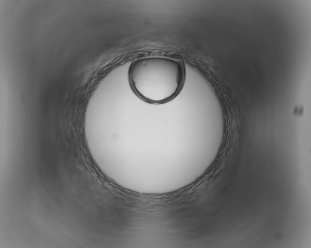 X0000111181253200907011024