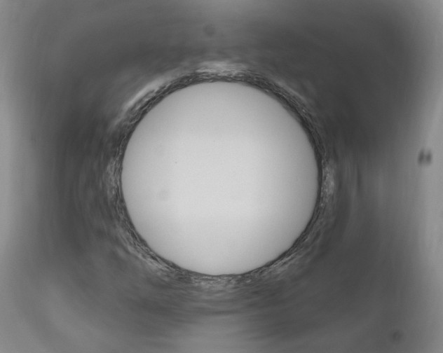 X0000111181254200907011024
