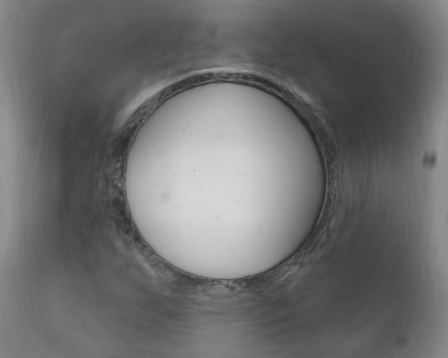 X0000111181255200907011024
