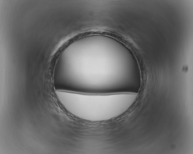 X0000111181256200907011024
