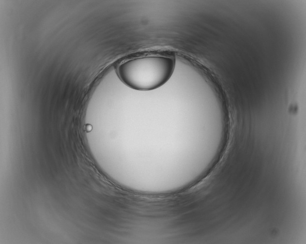 X0000111181257200907011024