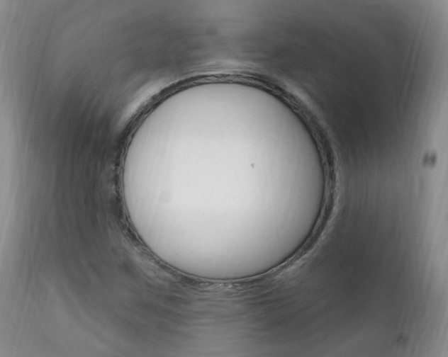 X0000111181259200907011024