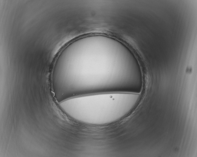 X0000111181260200907011024