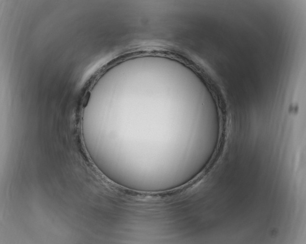X0000111181261200907011024