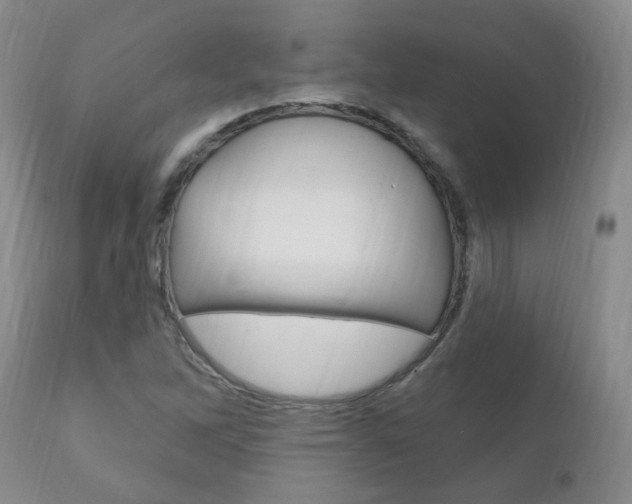 X0000111181262200907011024