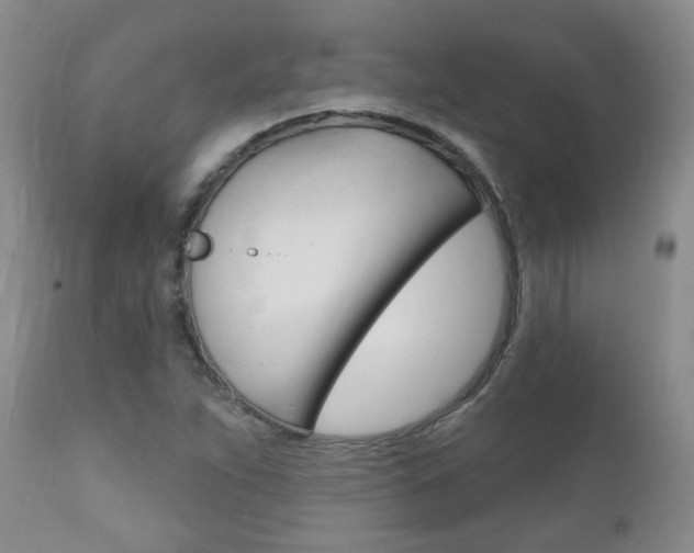 X0000111181263200907011024