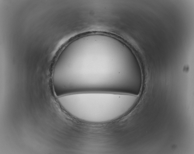 X0000111181264200907011024