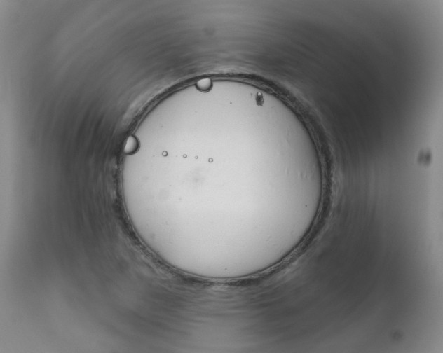 X0000111181265200907011024