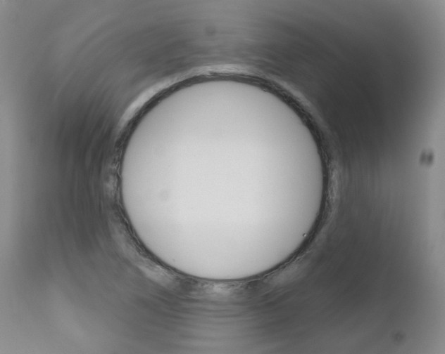 X0000111181266200907011024