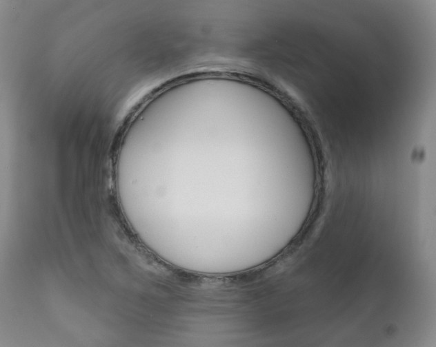 X0000111181267200907011024