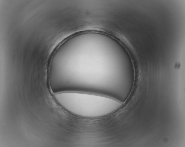 X0000111181268200907011024