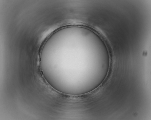 X0000111181269200907011024