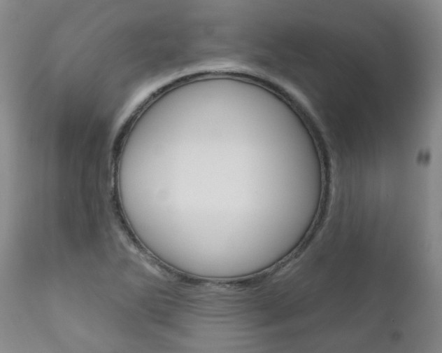 X0000111181270200907011024