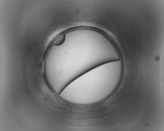 X0000111181271200907011024
