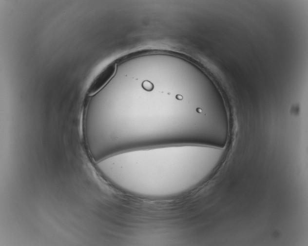 X0000111181272200907011024