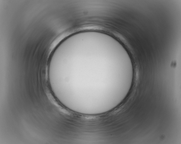 X0000111181274200907011024