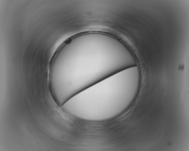 X0000111181275200907011024