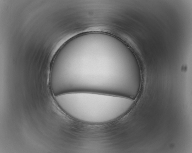 X0000111181276200907011024