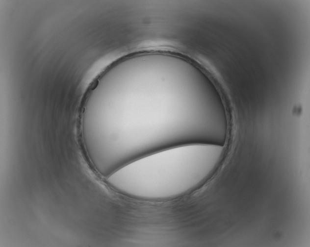 X0000111181277200907011024