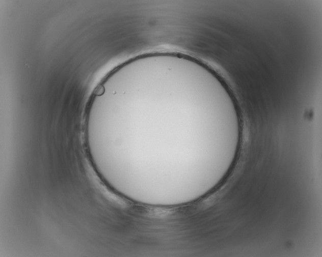 X0000111181278200907011024