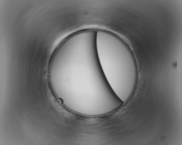 X0000111181279200907011024